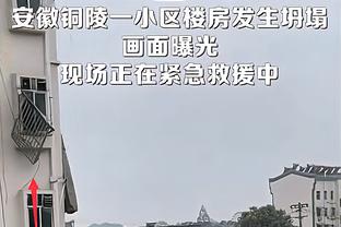 贝戈维奇：切尔西现在的阵容像个笑话，他们成了一支中游球队